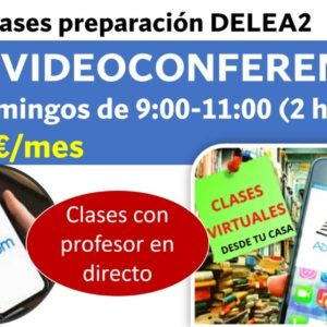 CLASES DELEA2 VIDEOCONFERENCIA